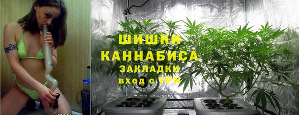 амф Белокуриха