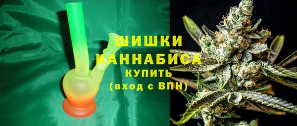 сатива Балахна