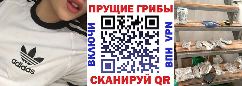 Галлюциногенные грибы мухоморы Кизилюрт
